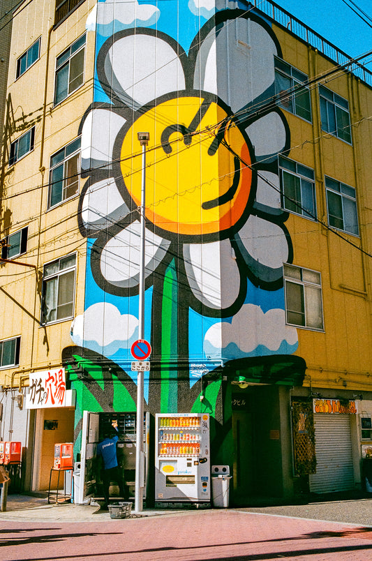 Painted Flower 花