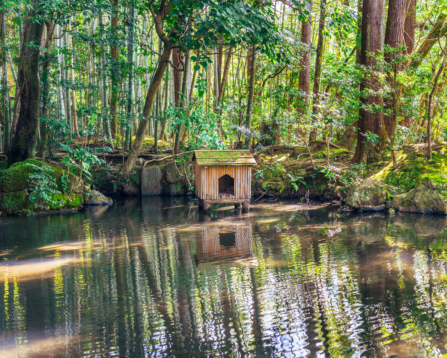 Tenju-an Temple Garden 天授庵
