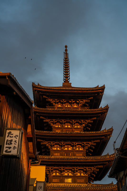 Karasu Above 烏