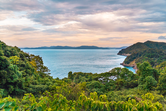 Wasaka Bay 和坂